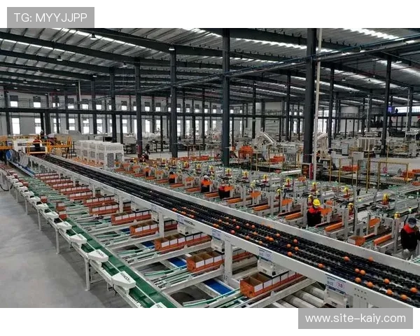 标准化操作手册结合智能化工具 提升了体育传播服务在复杂环境下的容错率