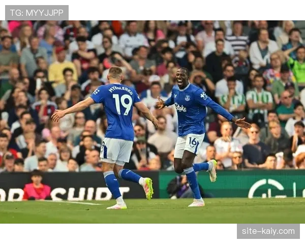 埃弗顿发布伤病报告，主力左后卫米科连科因脚踝扭伤将缺席至少两周